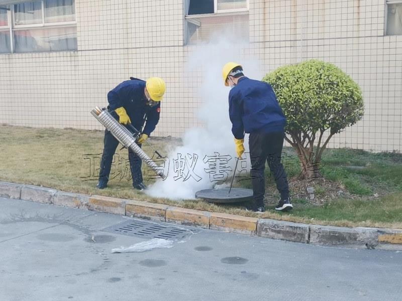 东莞谢岗除四害服务机构单位,谢岗臭虫防治服务,谢岗镇杀虫公司